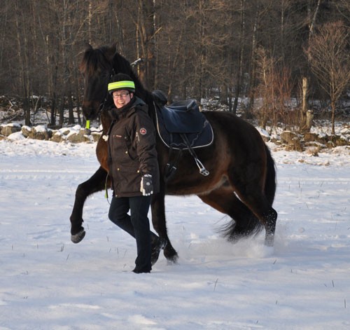 120205_8594_Dango-samlad.jpg